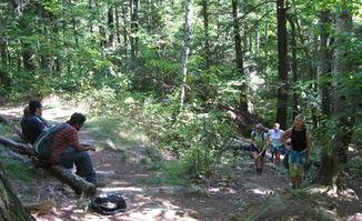 迷失美国,探寻异域风情与本土魅力的交融之旅